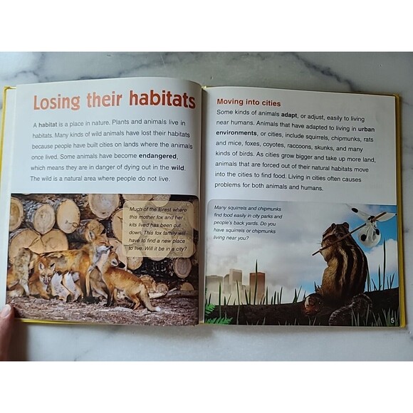 Baby Animals In Cities By Bobbie Kalman - Picture 4 of 10